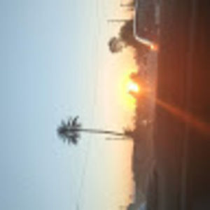 Meet your Posher, Fouad